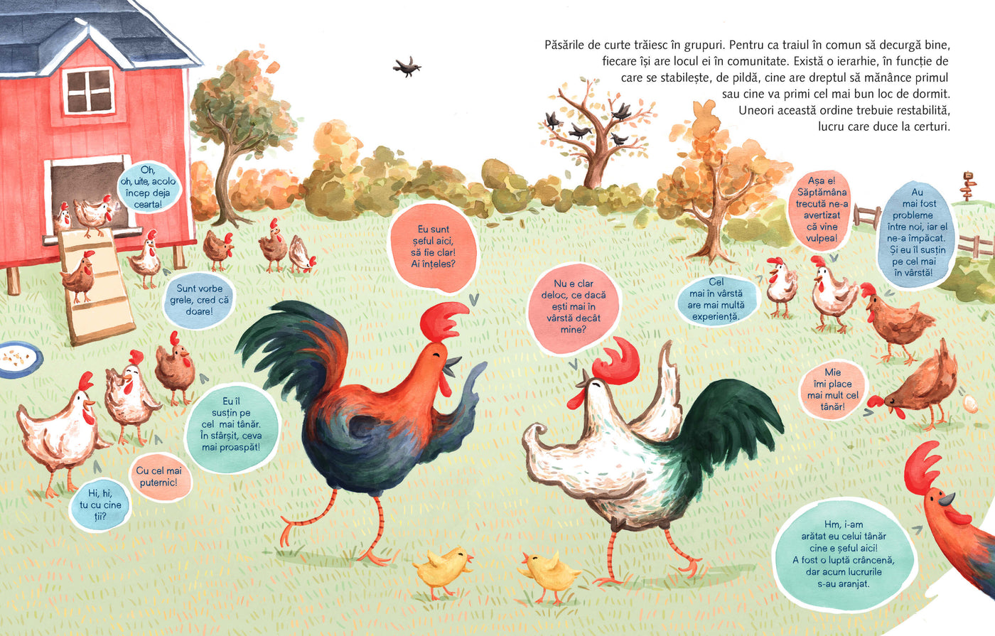 Cearta pentru începători