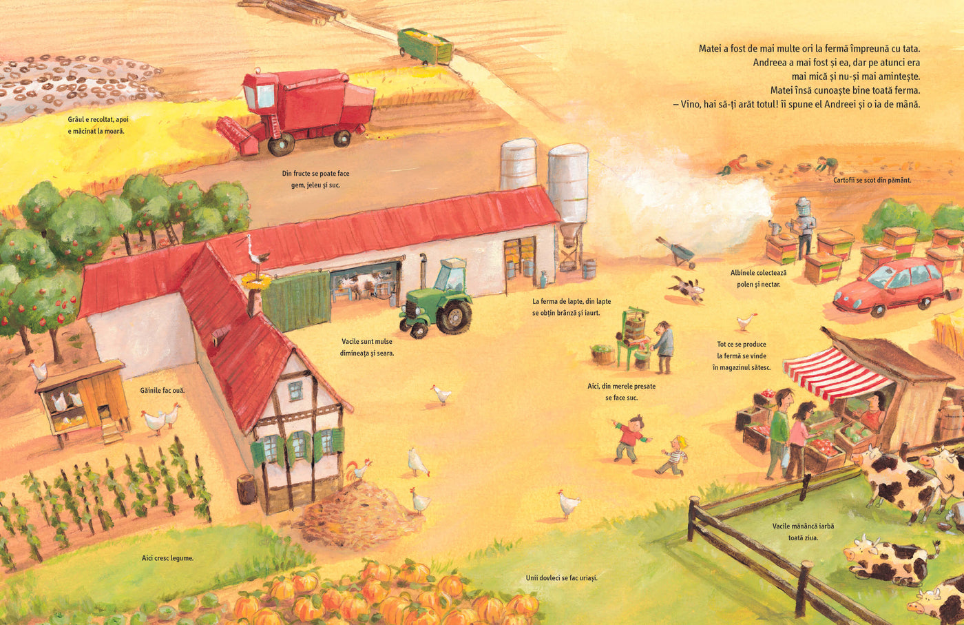 Crochetele de pește pot să înoate?