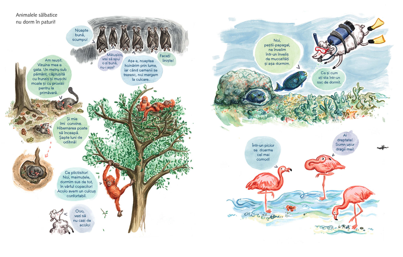 Dormitul pentru începători