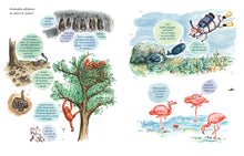 Dormitul pentru începători